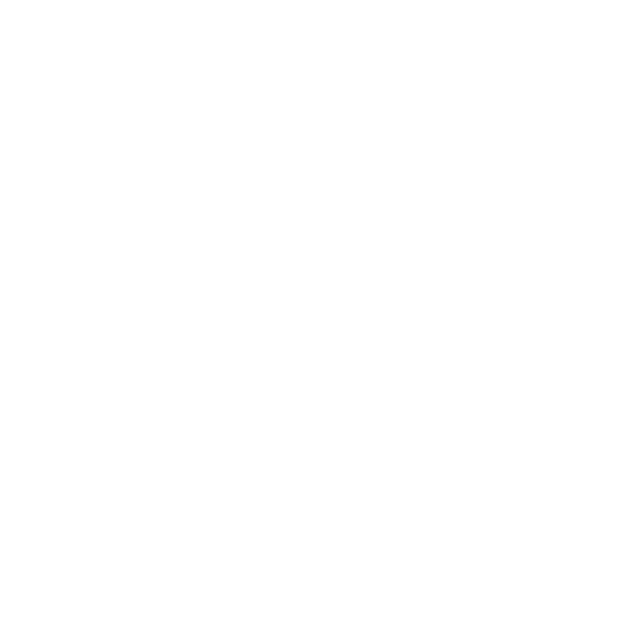 AT TOURS
